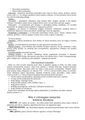 Išsamus pasiruošimas literatūros egzaminui 3 puslapis