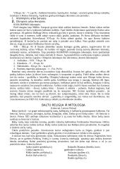 Išsamus pasiruošimas literatūros egzaminui 4 puslapis