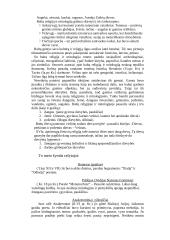 Išsamus pasiruošimas literatūros egzaminui 6 puslapis