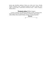 Išsamus pasiruošimas literatūros egzaminui 7 puslapis