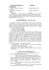 Išsamus pasiruošimas literatūros egzaminui 8 puslapis