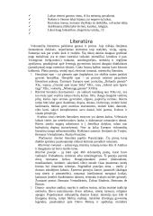 Išsamus pasiruošimas literatūros egzaminui 9 puslapis