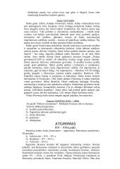 Išsamus pasiruošimas literatūros egzaminui 10 puslapis