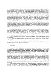 Lyties socializacija: tėvų ir globėjų vaidmuo moteriškumo bei vyriškumo formavime socializacijoje 2 puslapis