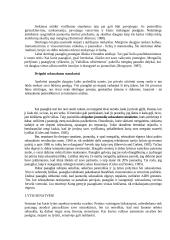 Lyties socializacija: tėvų ir globėjų vaidmuo moteriškumo bei vyriškumo formavime socializacijoje 5 puslapis