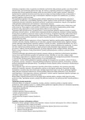 Logistika ir sandėliavimas 15 puslapis