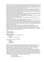 Logistika ir sandėliavimas 5 puslapis