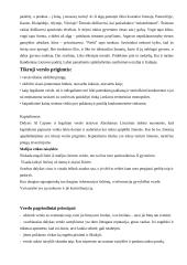 Mafijos verslo įmonės, veiklos ypatumai 3 puslapis