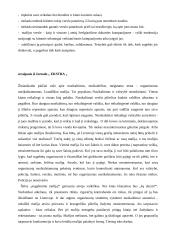 Mafijos verslo įmonės, veiklos ypatumai 4 puslapis