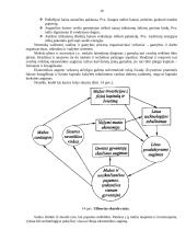 Fiskalinė ir monetarinė politika 10 puslapis