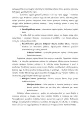 Ekonomikos sistemos ir jos tikslai 3 puslapis