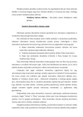 Ekonomikos sistemos ir jos tikslai 4 puslapis