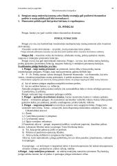 Makroekonomika ir BNP 20 puslapis