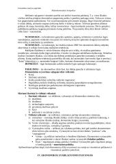 Makroekonomika ir BNP 8 puslapis