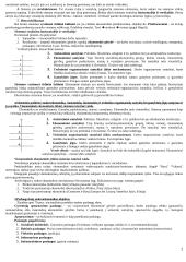 Makroekonomikos pagrindų teorija atsiskaitymui 2 puslapis