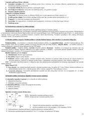 Makroekonomikos pagrindų teorija atsiskaitymui 11 puslapis