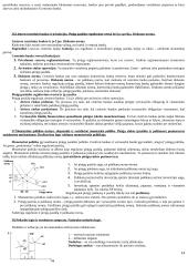 Makroekonomikos pagrindų teorija atsiskaitymui 14 puslapis