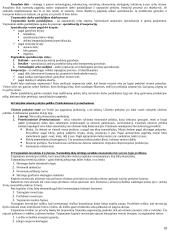 Makroekonomikos pagrindų teorija atsiskaitymui 18 puslapis