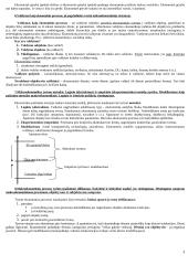 Makroekonomikos pagrindų teorija atsiskaitymui 3 puslapis