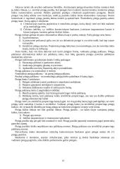 Makroekonomikos įvadas 13 puslapis