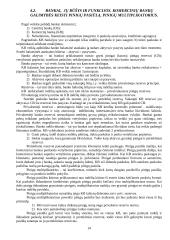 Makroekonomikos įvadas 14 puslapis