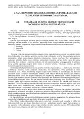 Makroekonomikos įvadas 17 puslapis