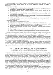 Makroekonomikos įvadas 18 puslapis