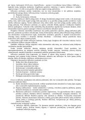 Makroekonomikos įvadas 19 puslapis