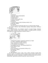 Mašinų detalės ir pavaros. Mašinos sandara 7 puslapis