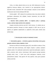 Matavimai makroekonomikoje 2 puslapis