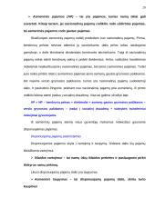 Matavimai makroekonomikoje 3 puslapis