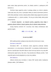 Matavimai makroekonomikoje 5 puslapis