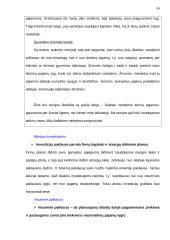 Matavimai makroekonomikoje 10 puslapis