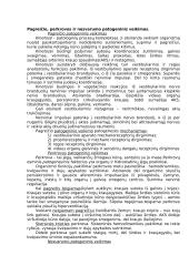 Arterinė hiperemija