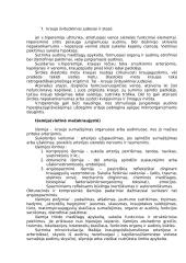 Arterinė hiperemija 4 puslapis