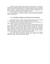 Medienos technologija 15 puslapis