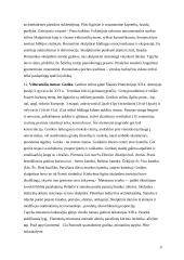 Meno istorija chronologiškai 9 puslapis