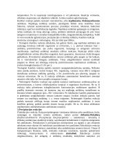 Gera mikrobiologijos teorija 6 puslapis