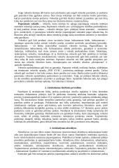 Mokėjimo instrumentai 3 puslapis