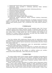 Mokėjimo instrumentai 7 puslapis