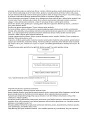 Mokesčiai ir jų sistema - paskaitų medžiaga 11 puslapis