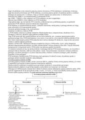 Mokesčiai ir jų sistema - paskaitų medžiaga 8 puslapis