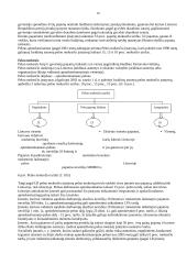 Mokesčiai ir jų sistema - paskaitų medžiaga 10 puslapis