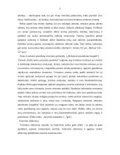 Mokinių vertinimas 5 puslapis