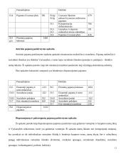 Nacionalinės sąskaitos 12 puslapis