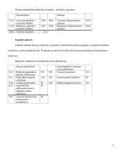 Nacionalinės sąskaitos 13 puslapis