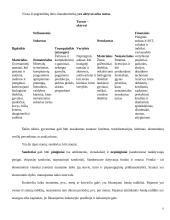 Nacionalinės sąskaitos 6 puslapis