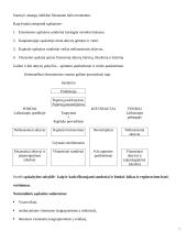 Nacionalinės sąskaitos 7 puslapis