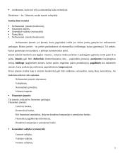 Nacionalinės sąskaitos 8 puslapis