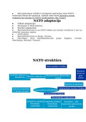 NATO istorija ir saugumas 4 puslapis